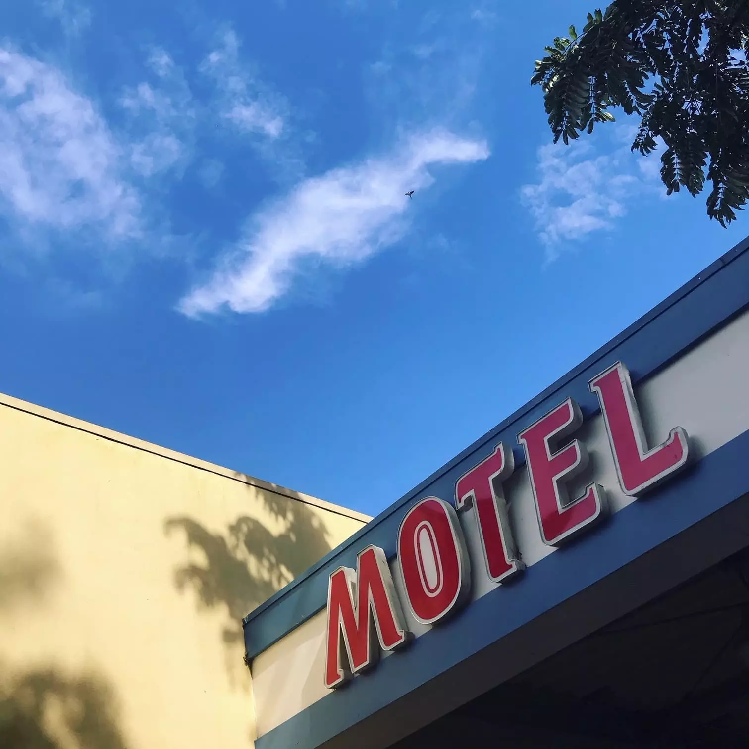 Palms 22 敷地全景 ヤシの木と500坪のロケーション